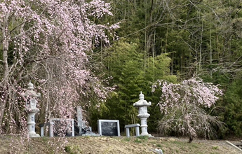 霊園の様子